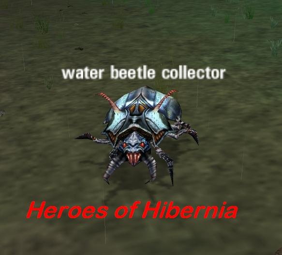 Picture of Water Beetle Collector